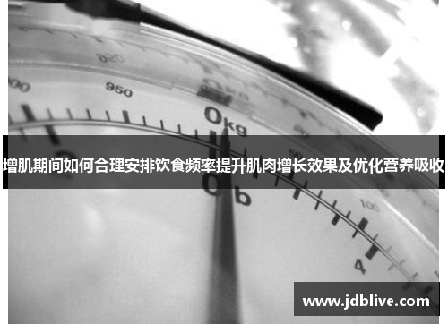 增肌期间如何合理安排饮食频率提升肌肉增长效果及优化营养吸收